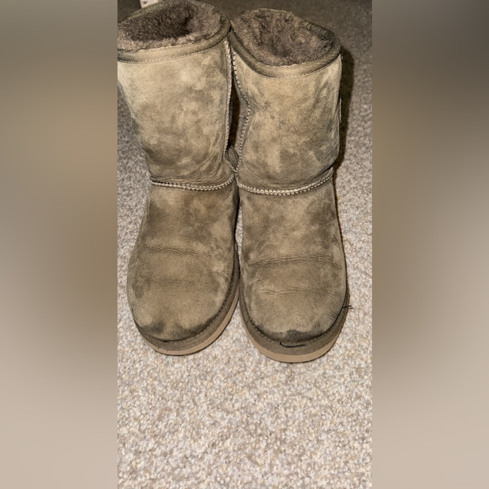 Olive Green Uggs